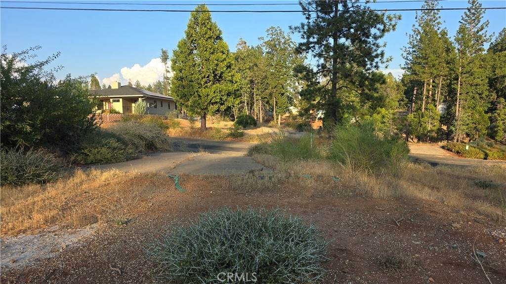 13597 Park Drive - Photo 1