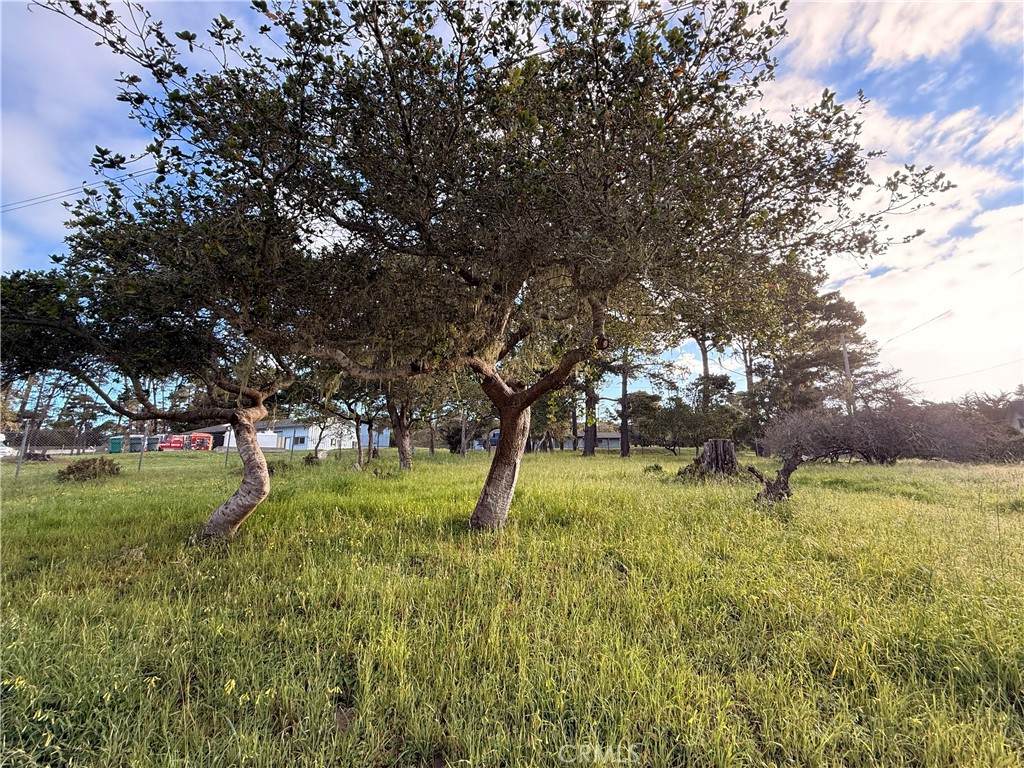 6126 Charing - Photo 1