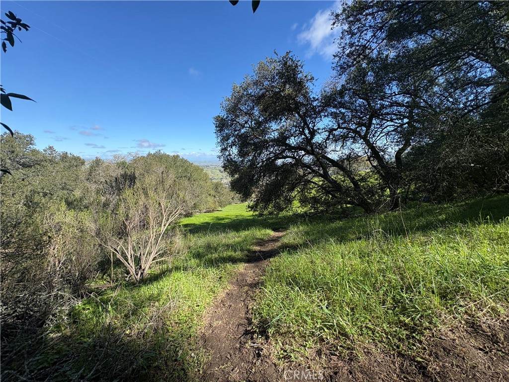 12000 San Marcos - Photo 1