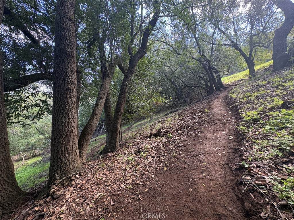 https://bt-photos.global.ssl.fastly.net/socal/orig_boomver_1_417441618-2.jpg