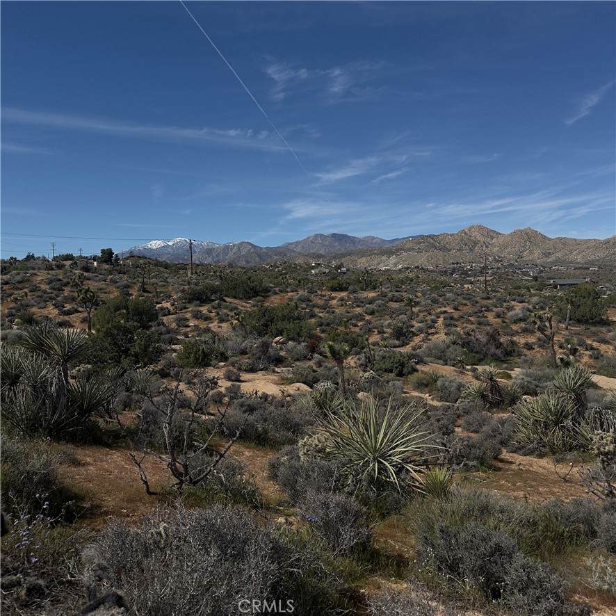 https://bt-photos.global.ssl.fastly.net/socal/orig_boomver_1_417464496-2.jpg