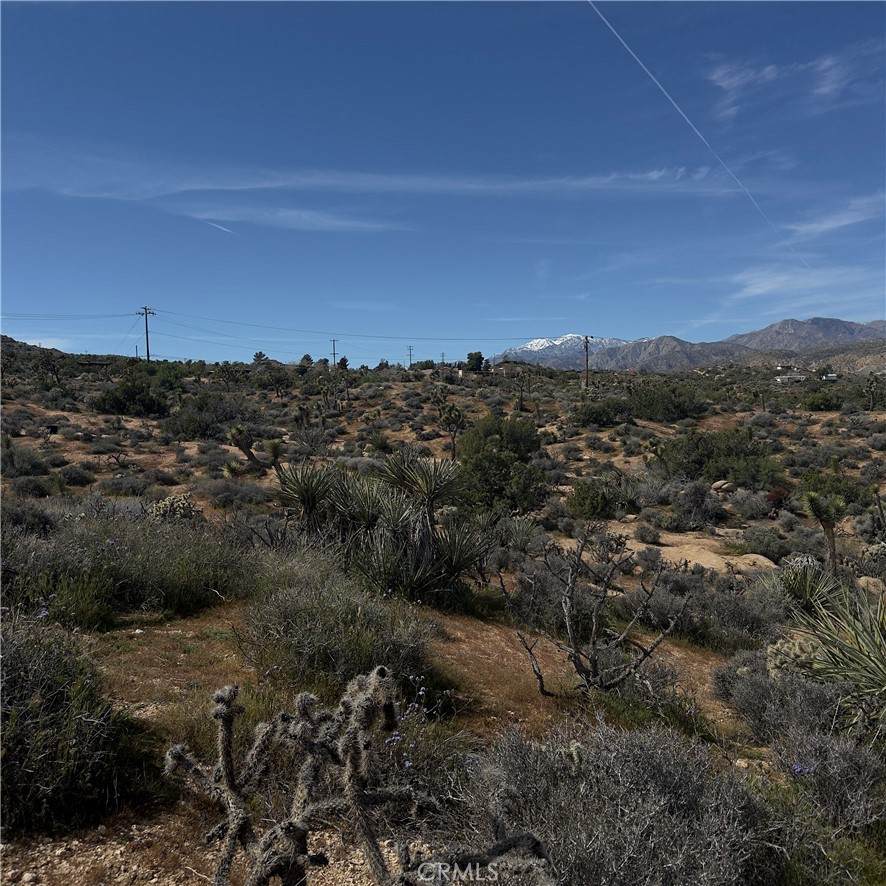 https://bt-photos.global.ssl.fastly.net/socal/orig_boomver_1_417464496-2.jpg