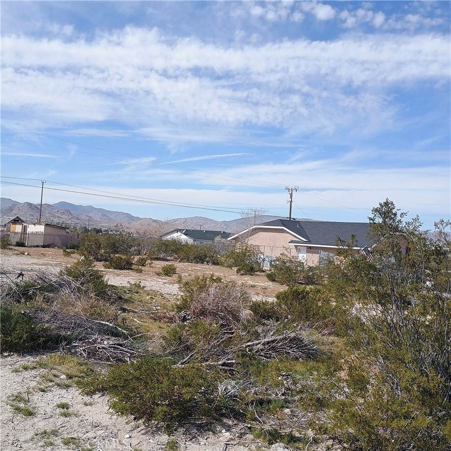 0 Estrada - Photo 1