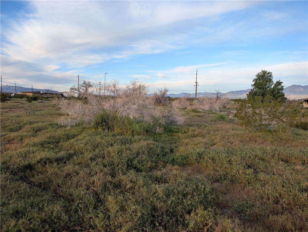 0 Jacks Ranch Rd - Photo 1
