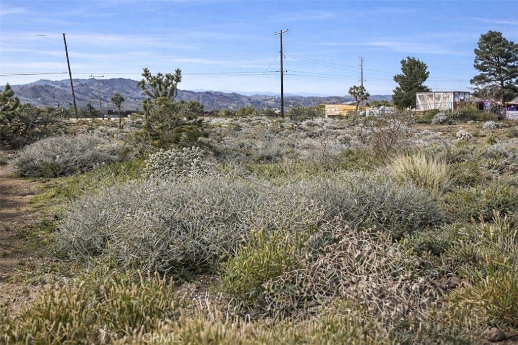 https://bt-photos.global.ssl.fastly.net/socal/orig_boomver_1_417731773-2.jpg