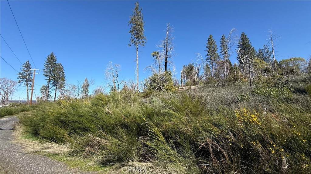 0 Starcrest Lane - Photo 1