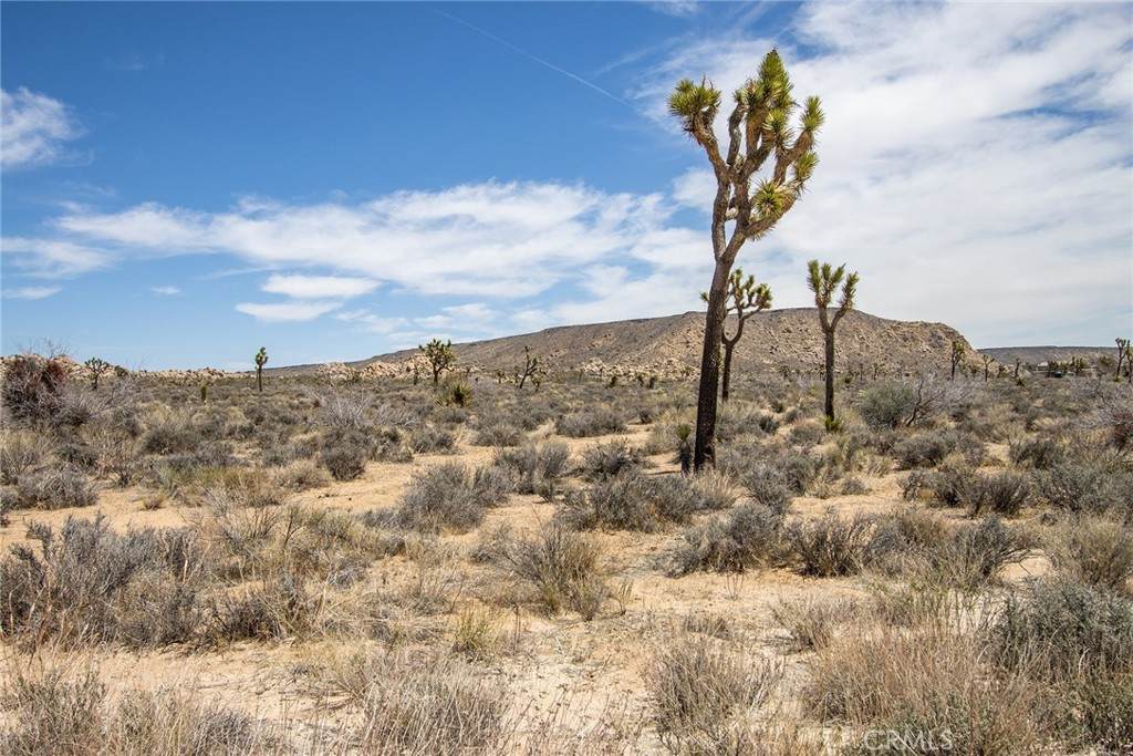https://bt-photos.global.ssl.fastly.net/socal/orig_boomver_1_418062860-2.jpg