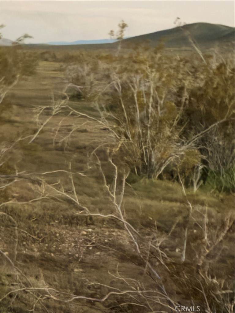 https://bt-photos.global.ssl.fastly.net/socal/orig_boomver_1_418139920-2.jpg