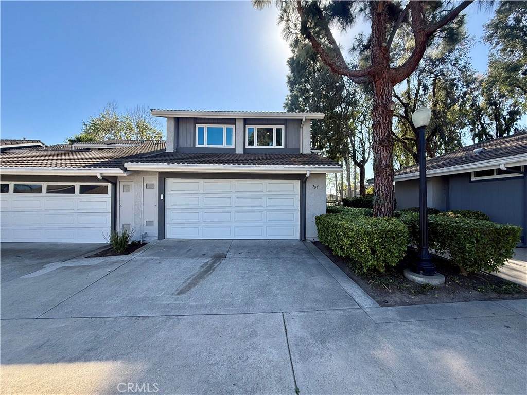 387 Calle Borrego - Photo 1