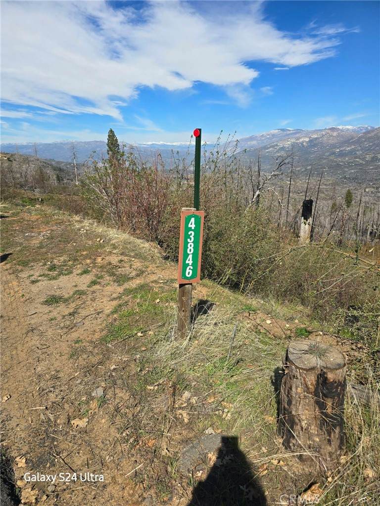 43846 Schubert Road - Photo 1