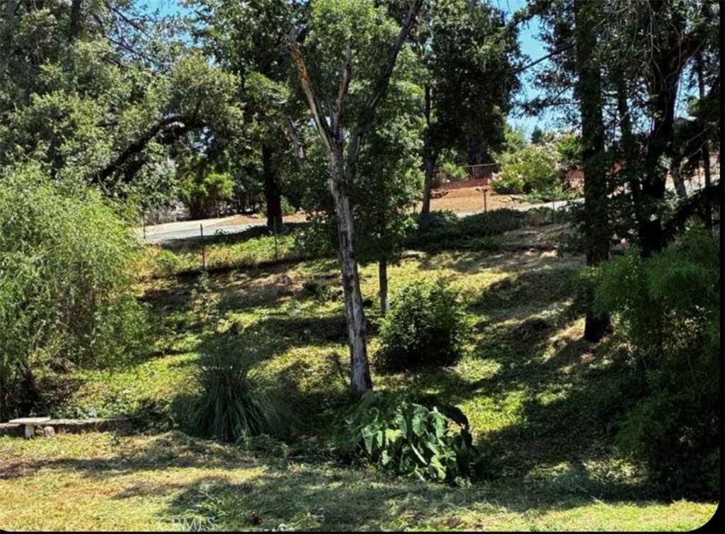 5432 Scottwood - Photo 1