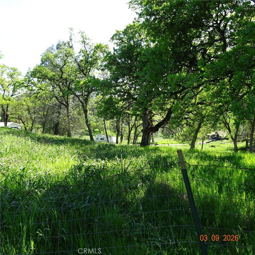 0 Reicker - Photo 1