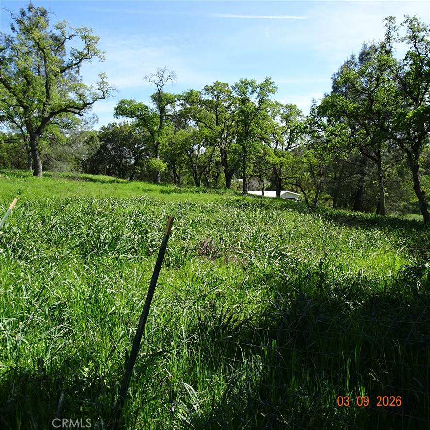 https://bt-photos.global.ssl.fastly.net/socal/orig_boomver_1_418307238-2.jpg