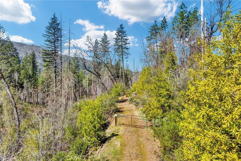 12061 Gifford Springs Road - Photo 1