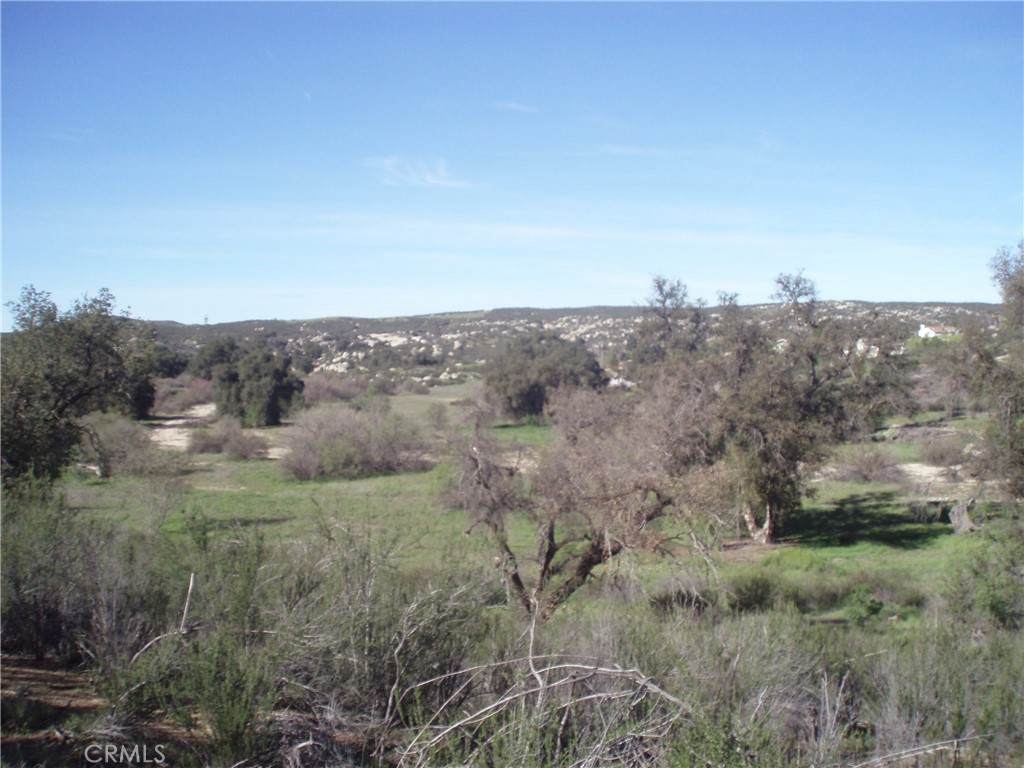 0 Willow Canyon Road - Photo 1
