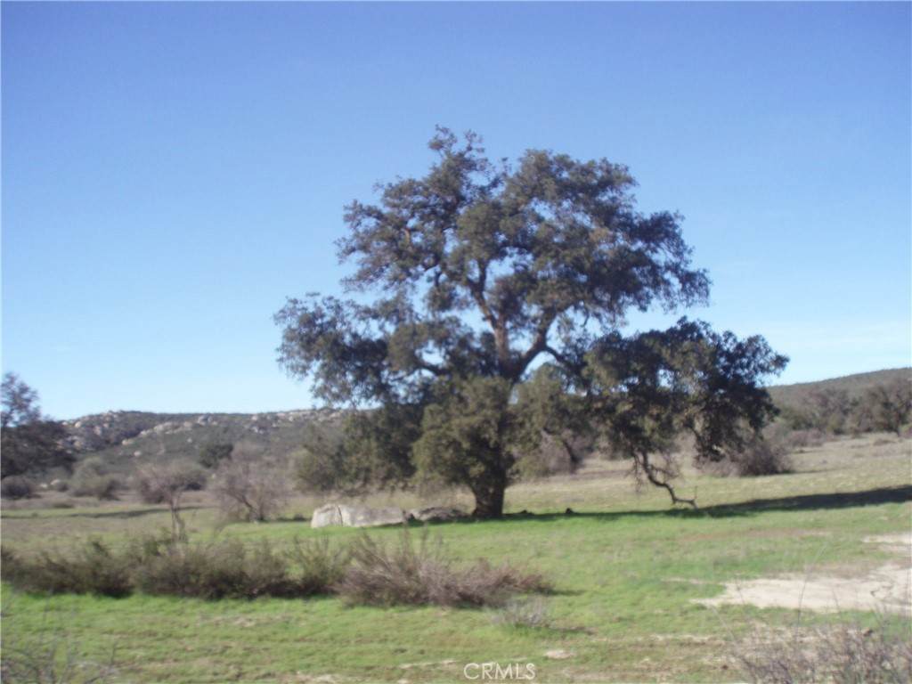 https://bt-photos.global.ssl.fastly.net/socal/orig_boomver_1_418458453-2.jpg