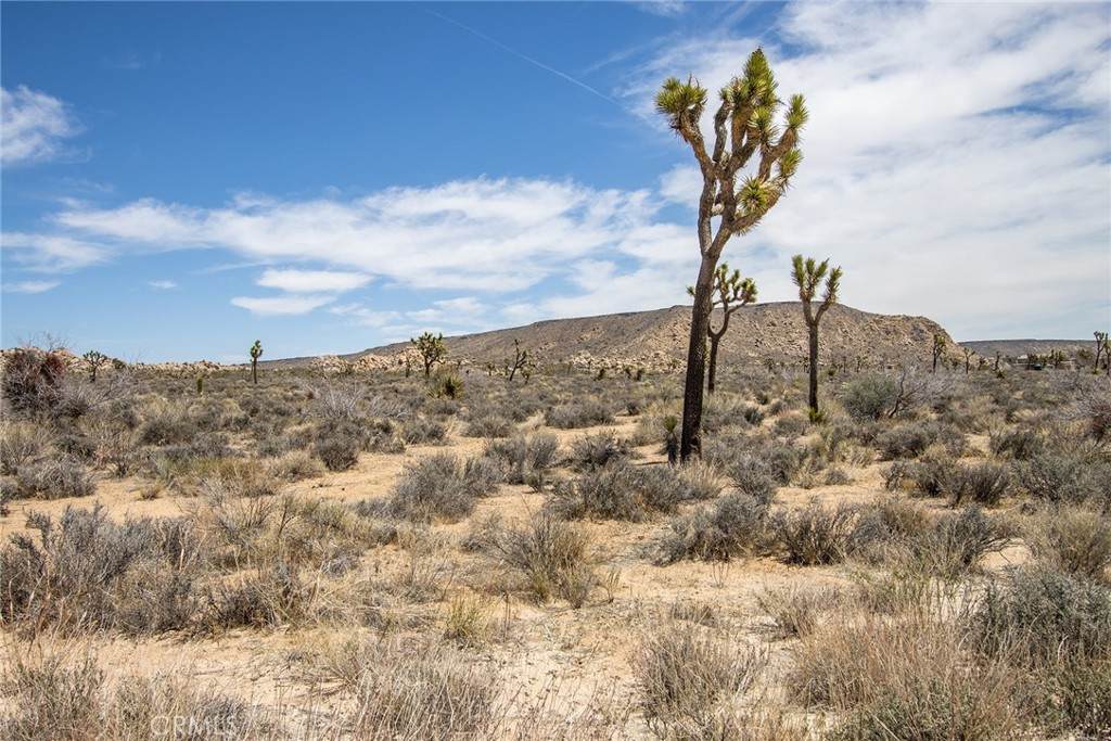 https://bt-photos.global.ssl.fastly.net/socal/orig_boomver_1_418843105-2.jpg