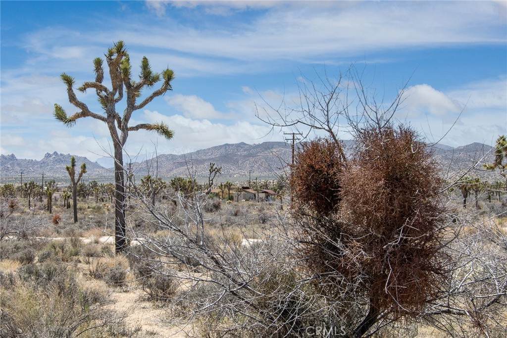 https://bt-photos.global.ssl.fastly.net/socal/orig_boomver_1_418843105-2.jpg
