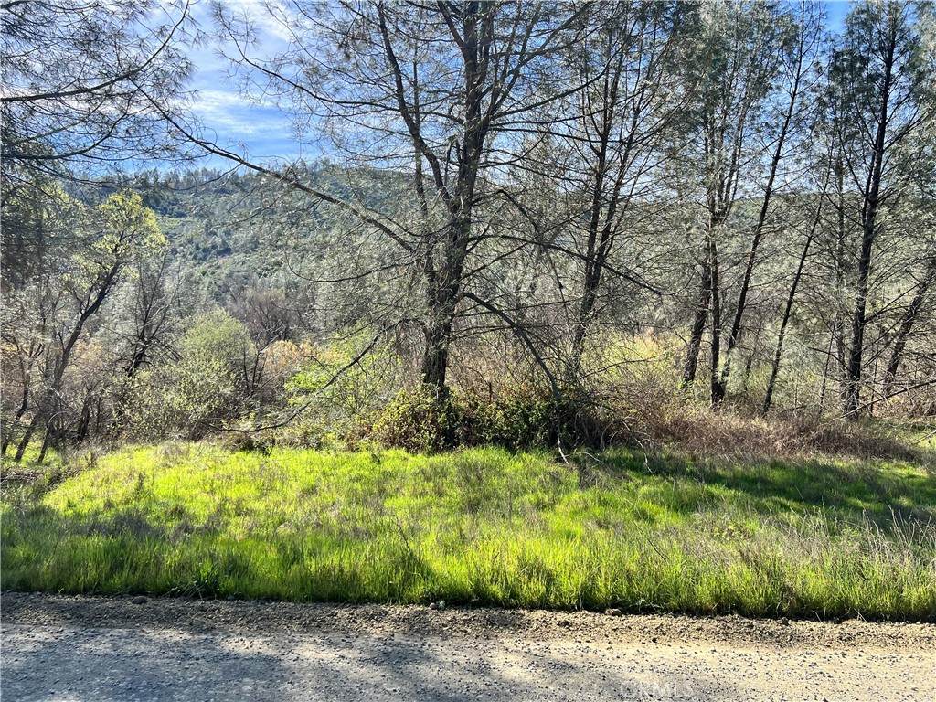 2286 New Long Valley Road - Photo 1