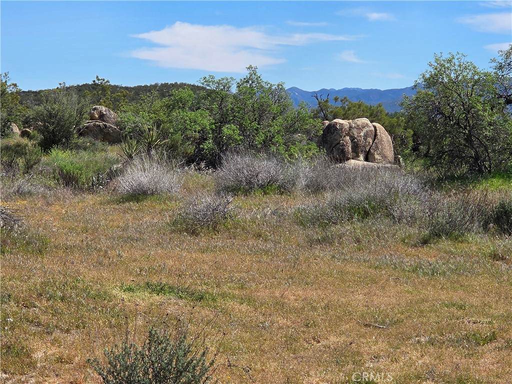 https://bt-photos.global.ssl.fastly.net/socal/orig_boomver_1_418966362-2.jpg
