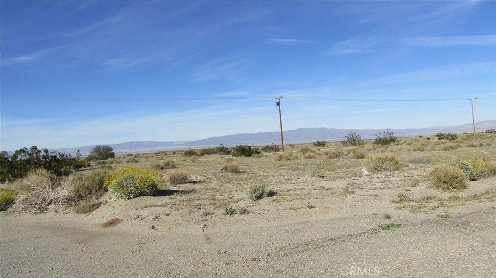 1194 Bering - Photo 1