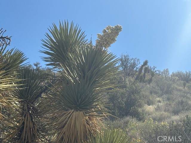 https://bt-photos.global.ssl.fastly.net/socal/orig_boomver_1_419263701-2.jpg
