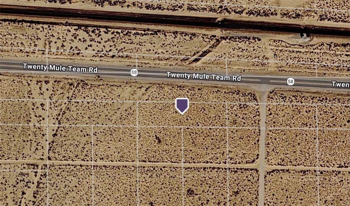 0 20 Mule Team Road - Photo 1