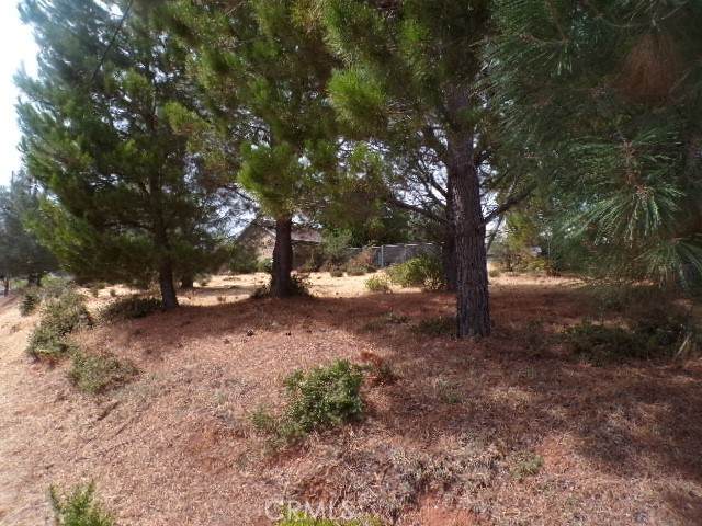 10265 Fairway Drive - Photo 1