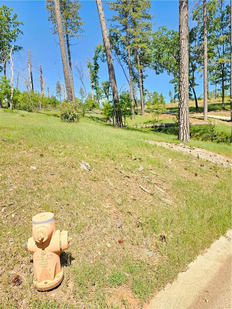 5389 Breezewood - Photo 1