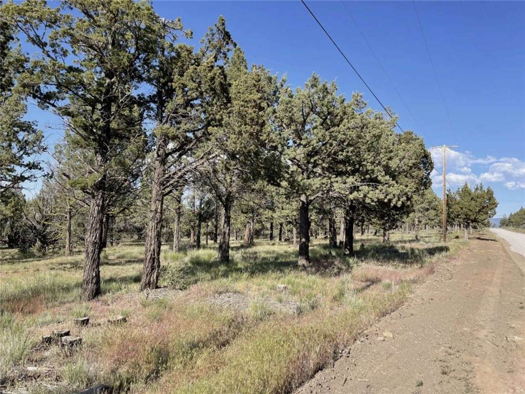 0 Hilltop Lane - Photo 1