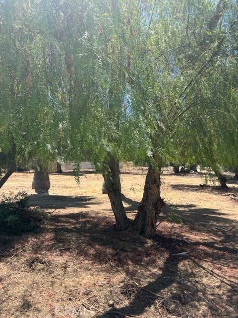 0 Lakeshore - Photo 1