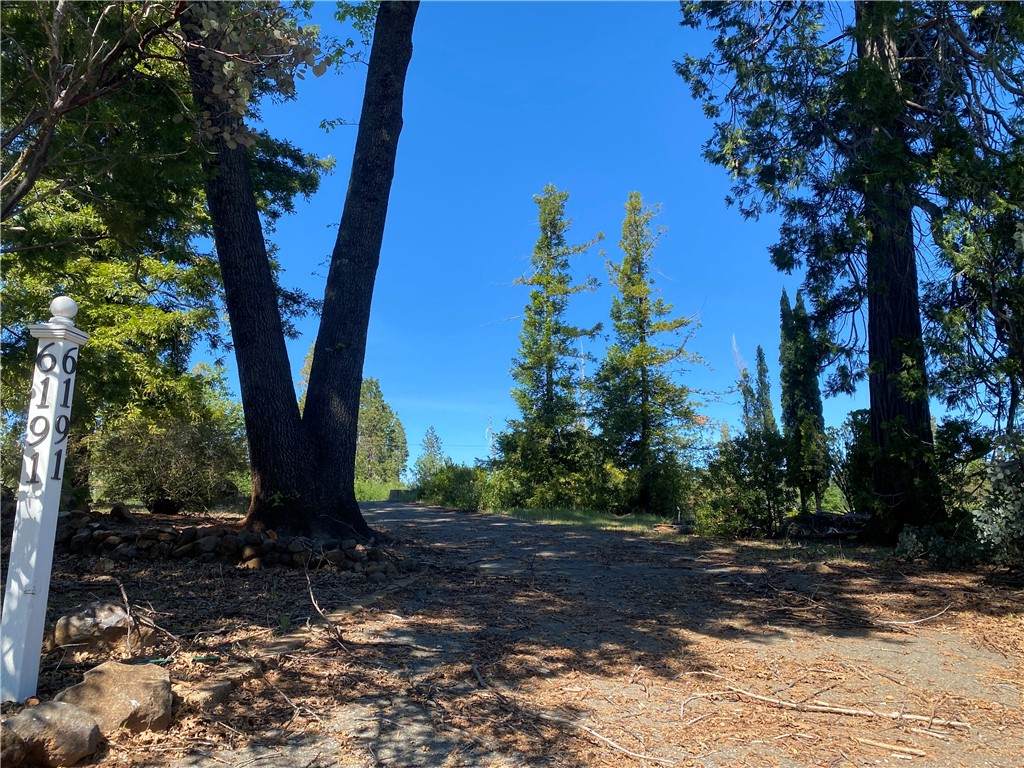 6191 Ponderosa - Photo 1
