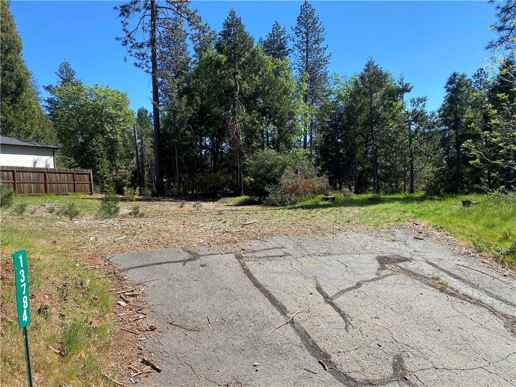 13784 Curtis Court - Photo 1