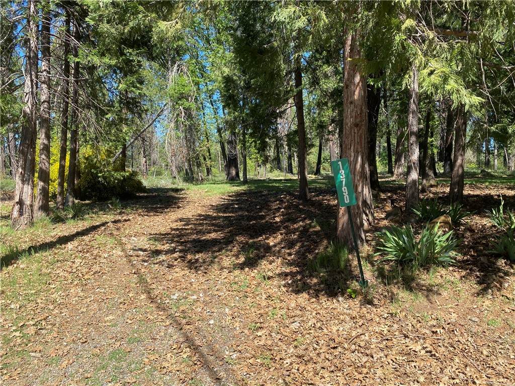 13790 Curtis Court - Photo 1