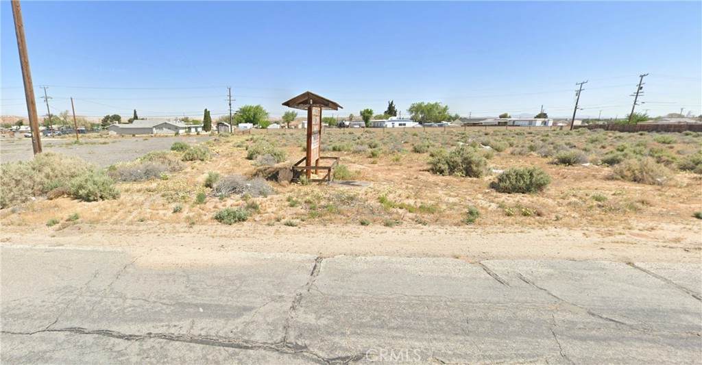 0 Twenty Mule Team Road - Photo 1