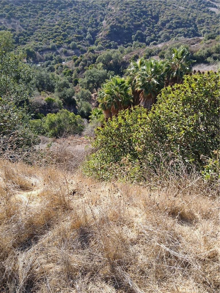 https://bt-photos.global.ssl.fastly.net/socal/orig_boomver_1_420035426-2.jpg