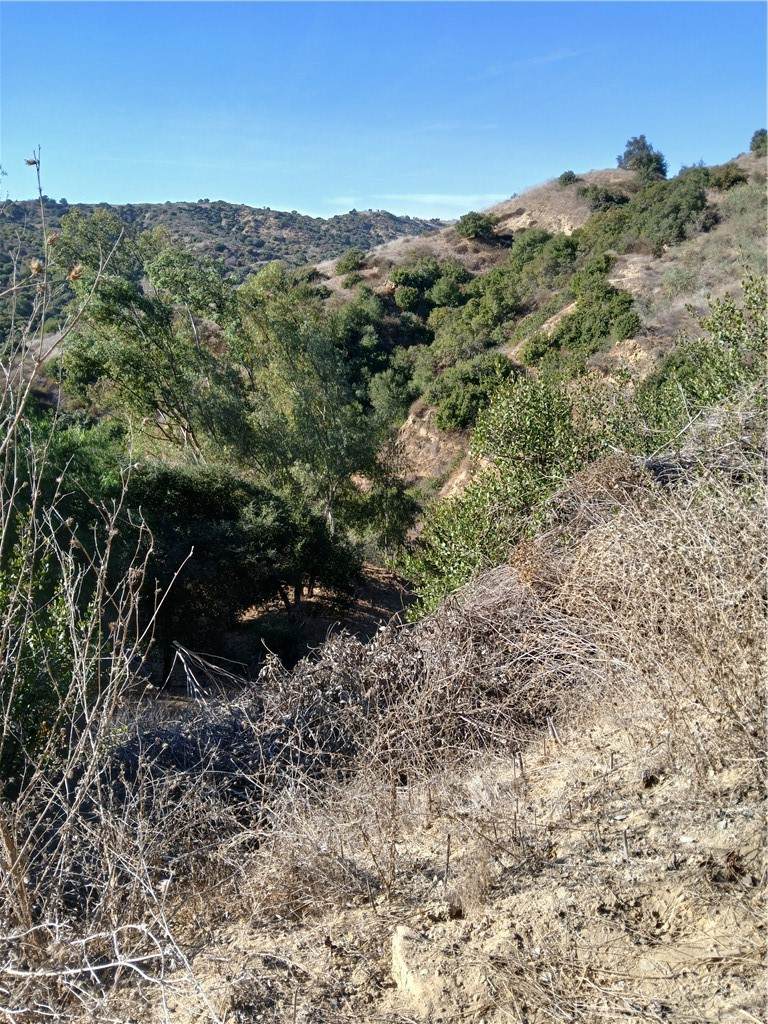 https://bt-photos.global.ssl.fastly.net/socal/orig_boomver_1_420035426-2.jpg