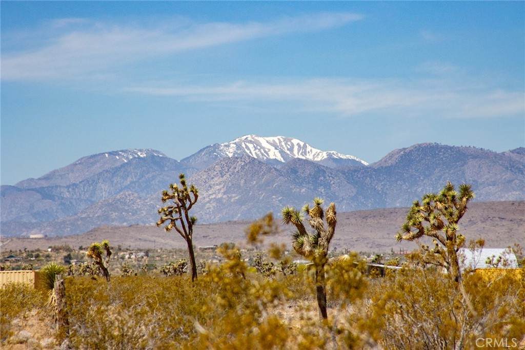 https://bt-photos.global.ssl.fastly.net/socal/orig_boomver_1_420144497-2.jpg