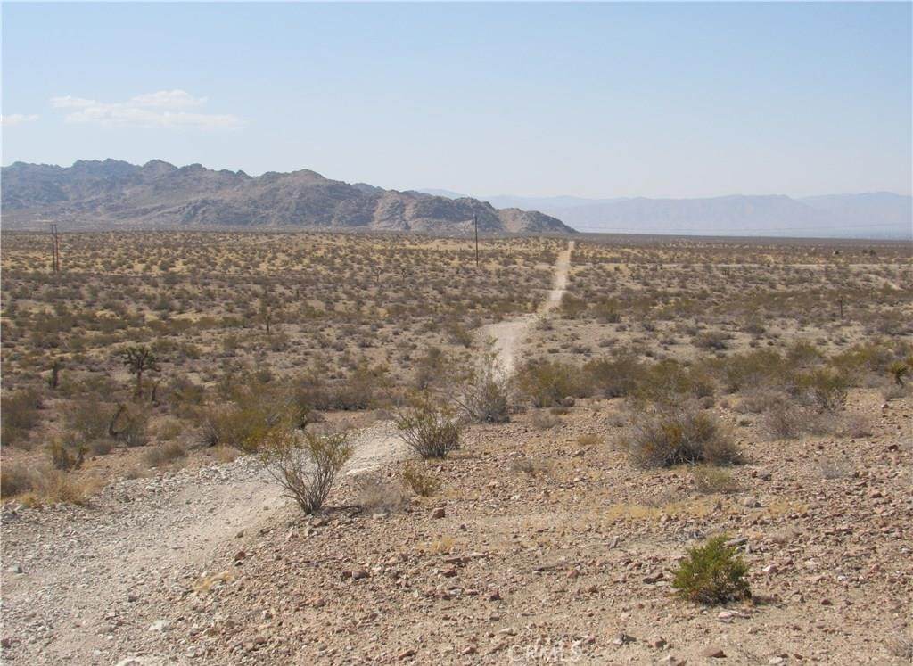 0 0463-111-11-0000 Leaping Lizard Lane - Photo 1