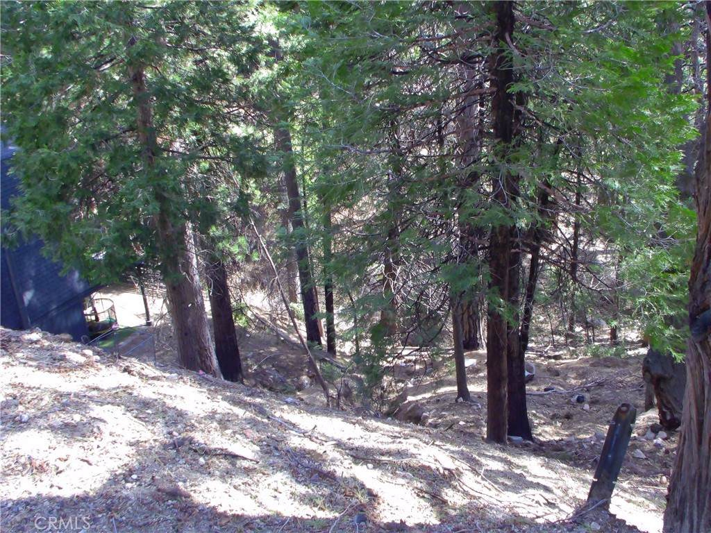 2379 Spring Oak - Photo 1