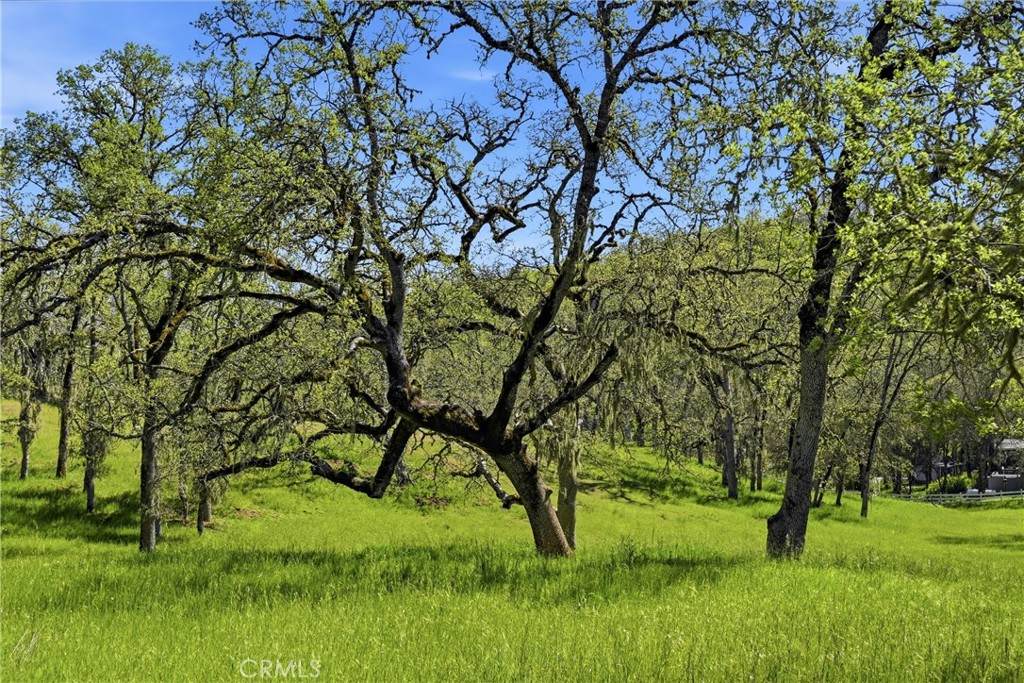 https://bt-photos.global.ssl.fastly.net/socal/orig_boomver_1_420262443-2.jpg