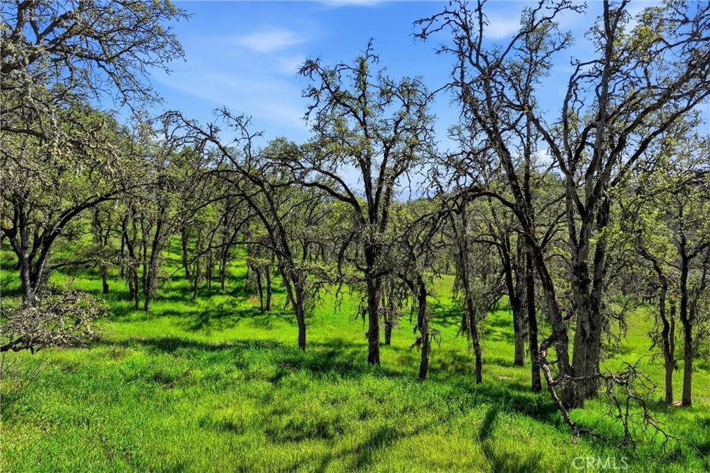 https://bt-photos.global.ssl.fastly.net/socal/orig_boomver_1_420262443-2.jpg