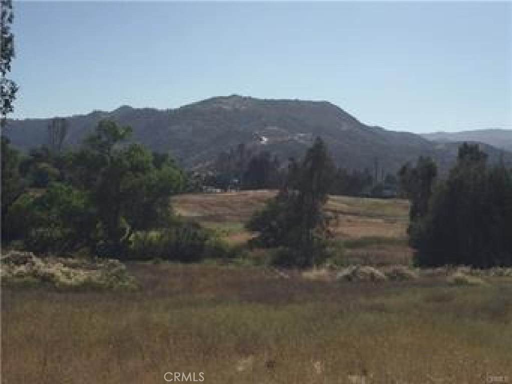 0 Robin Scott Parcel B - Photo 1
