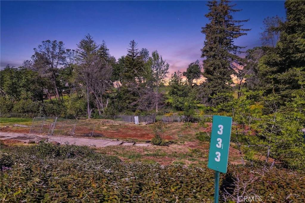 333 Redbud - Photo 1