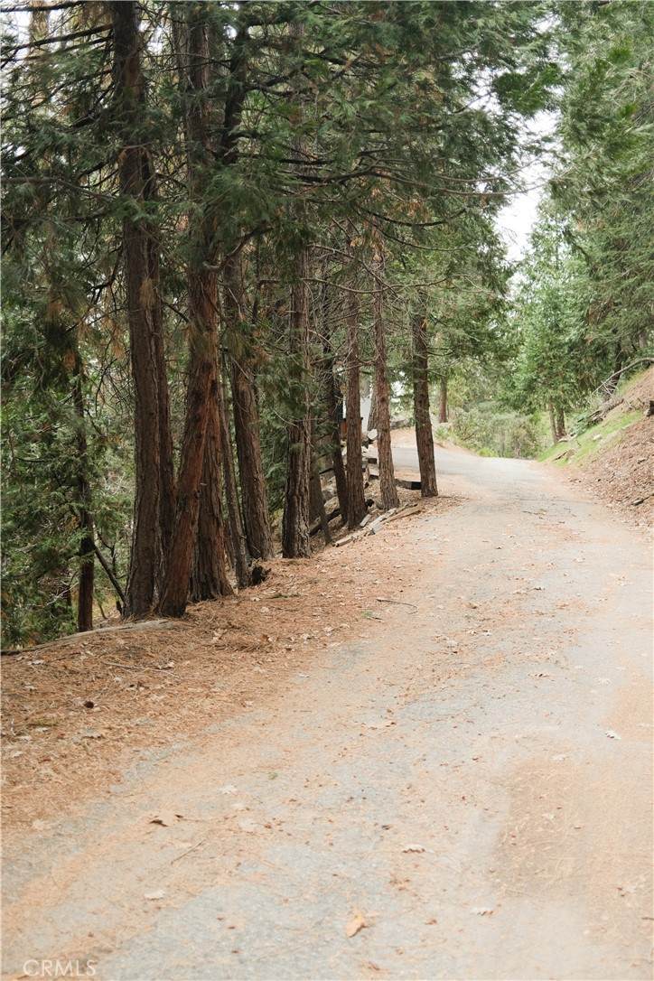 0 Pioneer - Photo 1