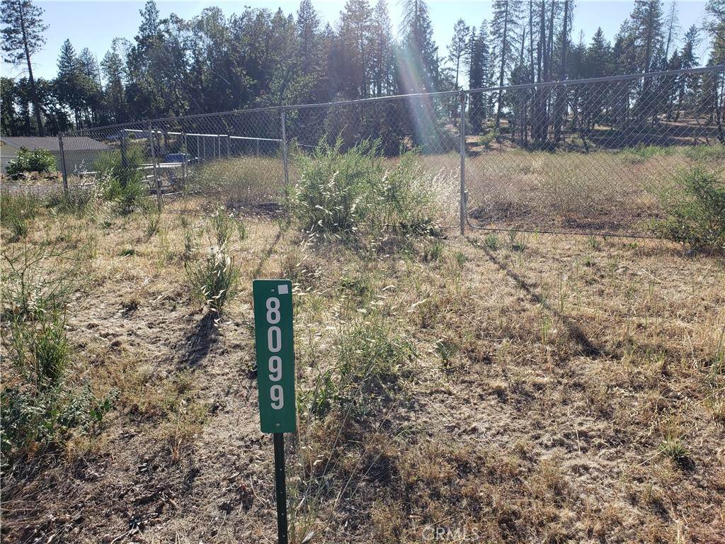 8099 Skyway - Photo 1