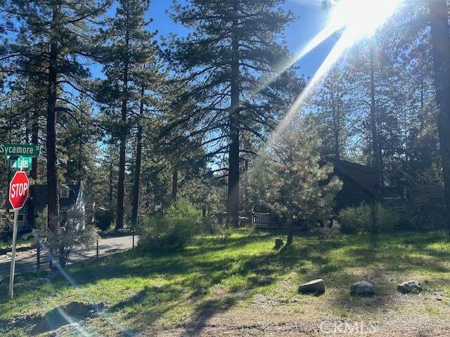 0 Twin Lakes - Photo 1