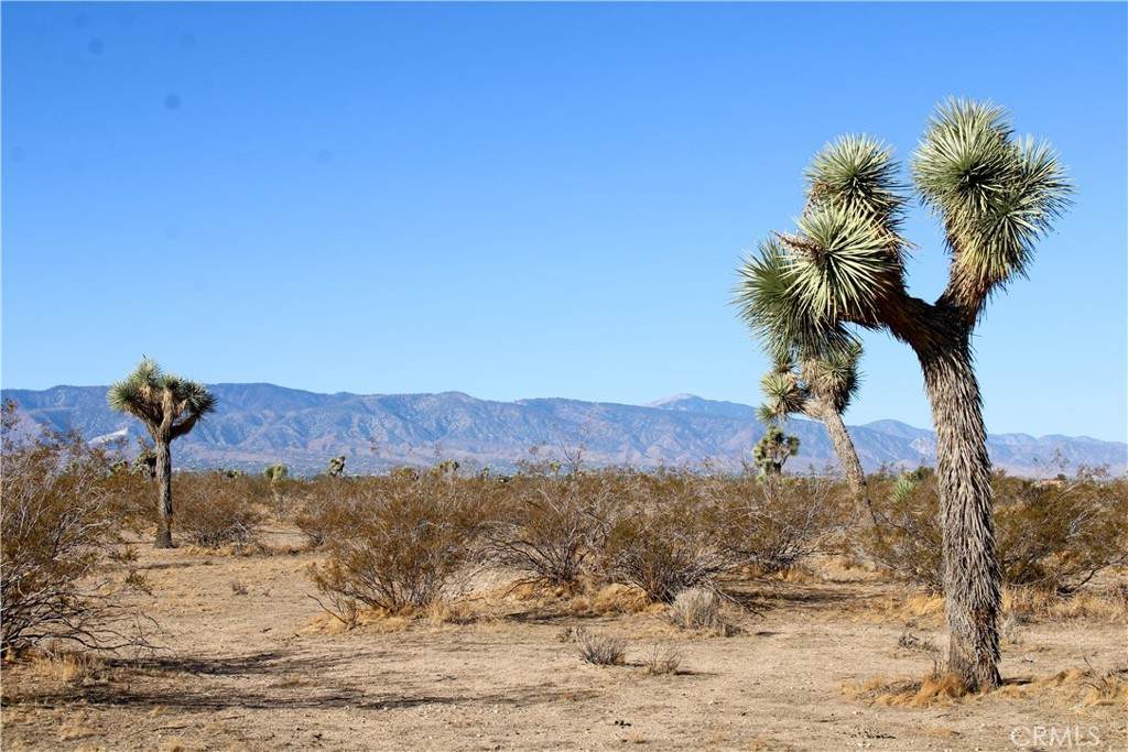https://bt-photos.global.ssl.fastly.net/socal/orig_boomver_1_420485388-2.jpg