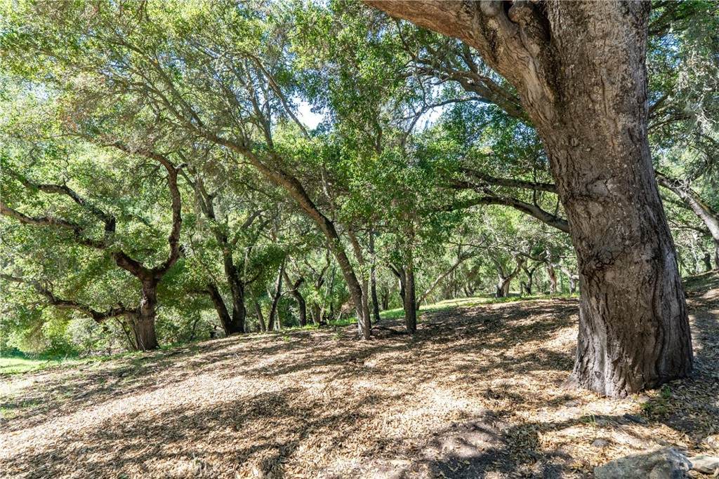 https://bt-photos.global.ssl.fastly.net/socal/orig_boomver_1_420599903-2.jpg
