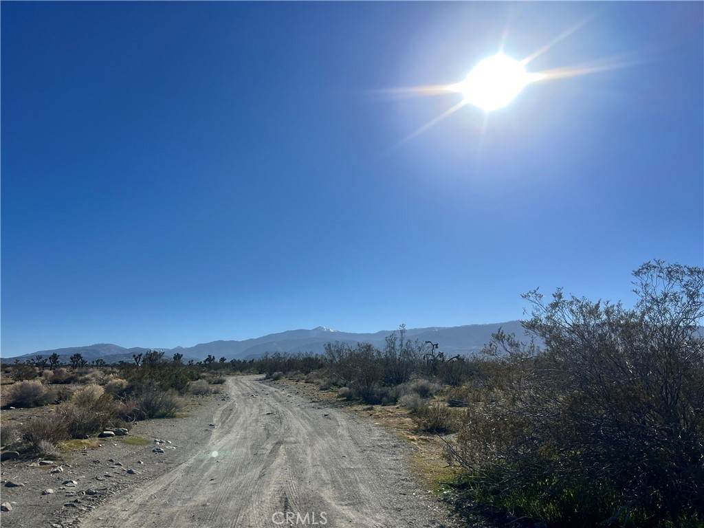 2025 Dos Palmas - Photo 1